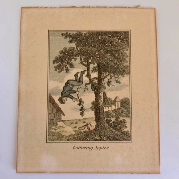 Antique Etchings Pair of Provincial Farm and Family Life 6” X 4.75” Humorous NIP - Picture 7 of 9